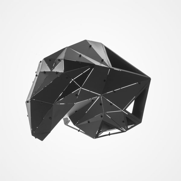 AGILLO | 3D Geometrik Metal Kartal Kafası Duvar Dekoru - Görsel 4