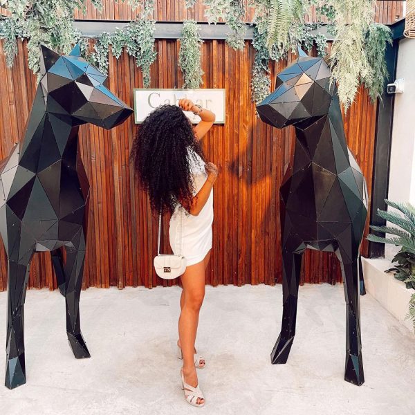DOBERMAN SERİSİ | 3D Metal Geometrik Doberman Heykeli - Görsel 12