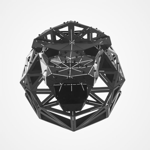 LEON V2 | 3D Geometrik Metal Aslan Kafası Duvar Dekoru - Görsel 5