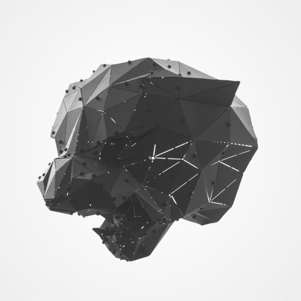 PARS | 3D Geometrik Metal Panter Kafası Duvar Dekoru - Görsel 4